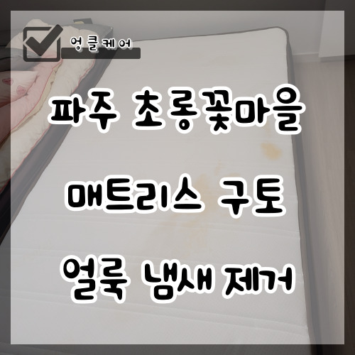  매트리스 구토 얼룩 냄새 제거 파주 동패 초롱꽃마을