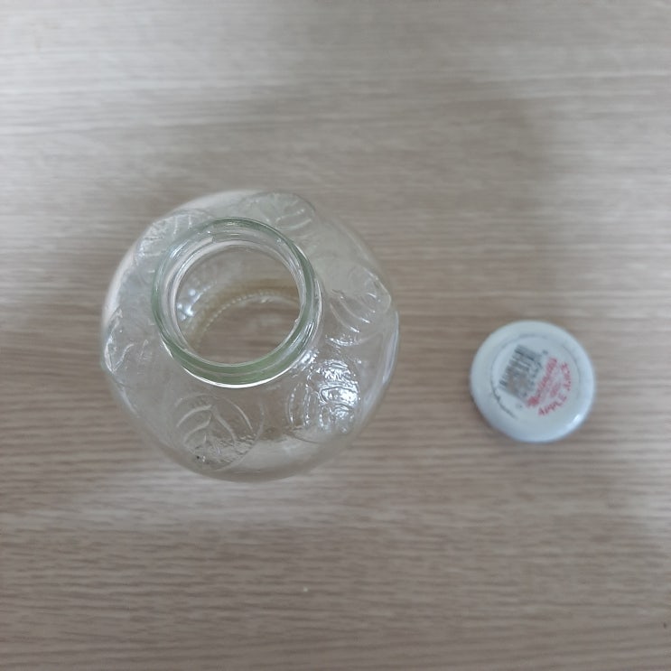 비단<b>이끼</b> <b>테라리움</b> 만들기 – 초보자도 쉽게 따라 하는 방법!