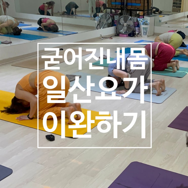  [탄현동 요가] 굳어진 내 몸 이완 탄현동 요가 레디바디 탄현점에서 함께해요 :)