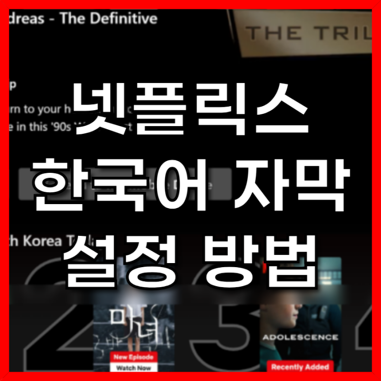  넷플릭스 한국어 자막 설정 팁