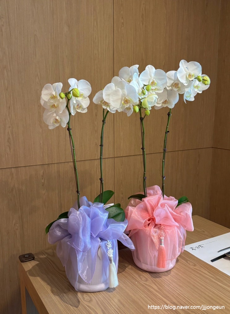  상견례 선물 추천! 부모님이 좋아하신 10만원 이내 선물