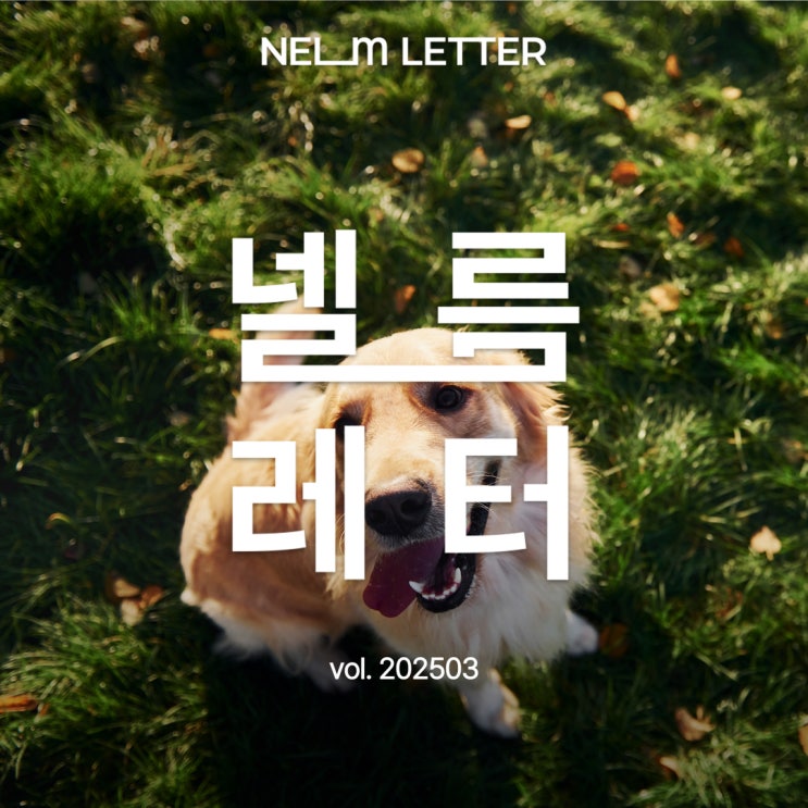  넬름레터 vol.202503 | 유익한 반려동물 소식지