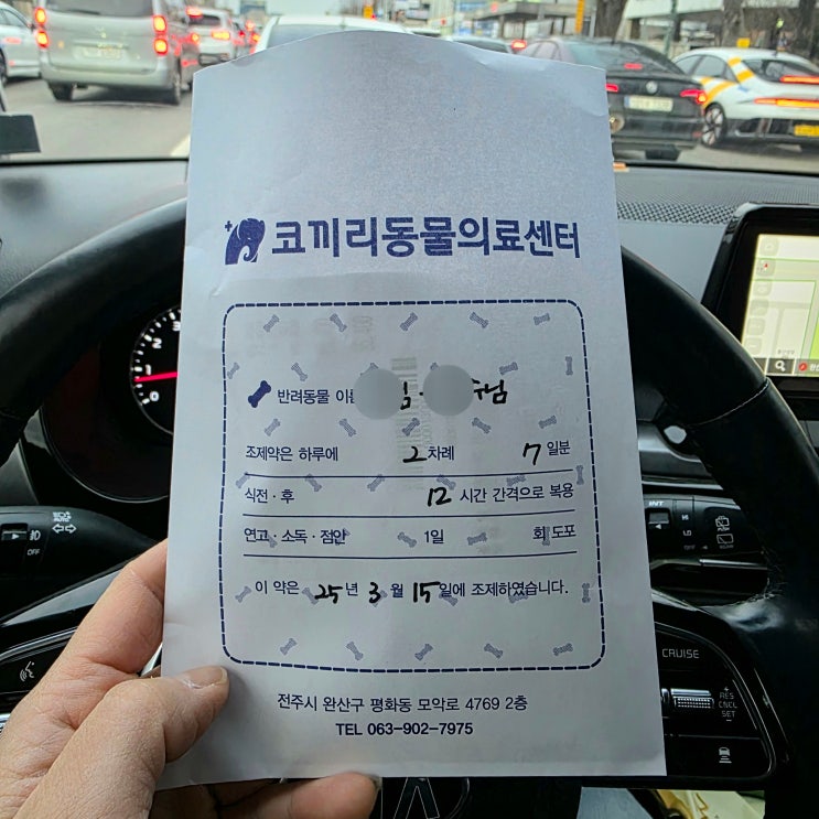  전주 코끼리동물병원 노견 쿠싱증후군, 기관지염 의심