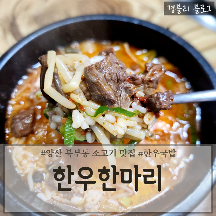  양산북부동소고기추천 양산로컬맛집 한우국밥맛집 양산밥집 '한우한마리'