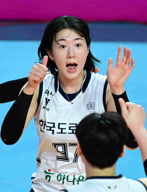 <b>여자프로배구</b>선수 <b>연봉</b>순위 TOP5, V리그 최고 <b>연봉</b>자는 누구?
