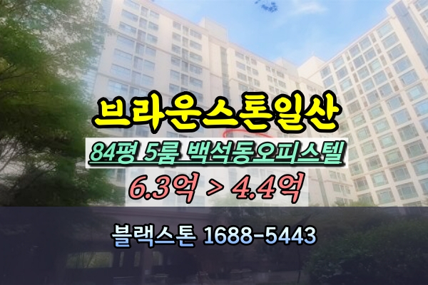  브라운스톤일산 경매 백석동오피스텔 82평 [2023타경73174]