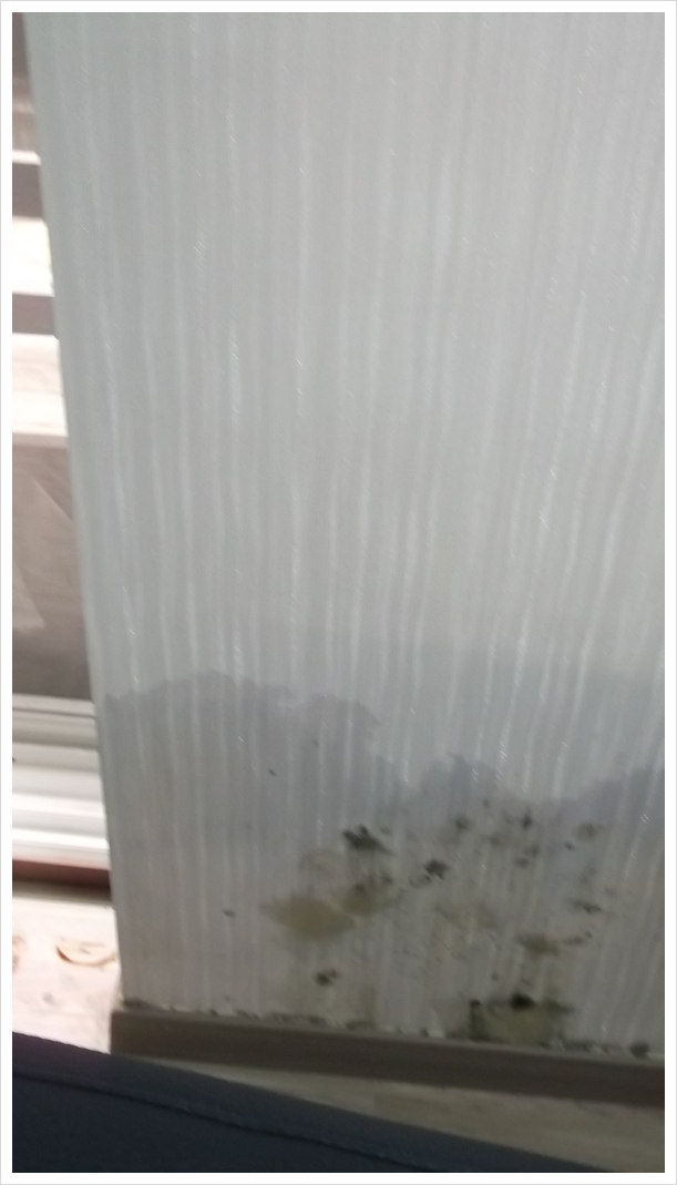  멍든것 처럼 보이는 실크 벽지? 곰팡이제거 어떻게?