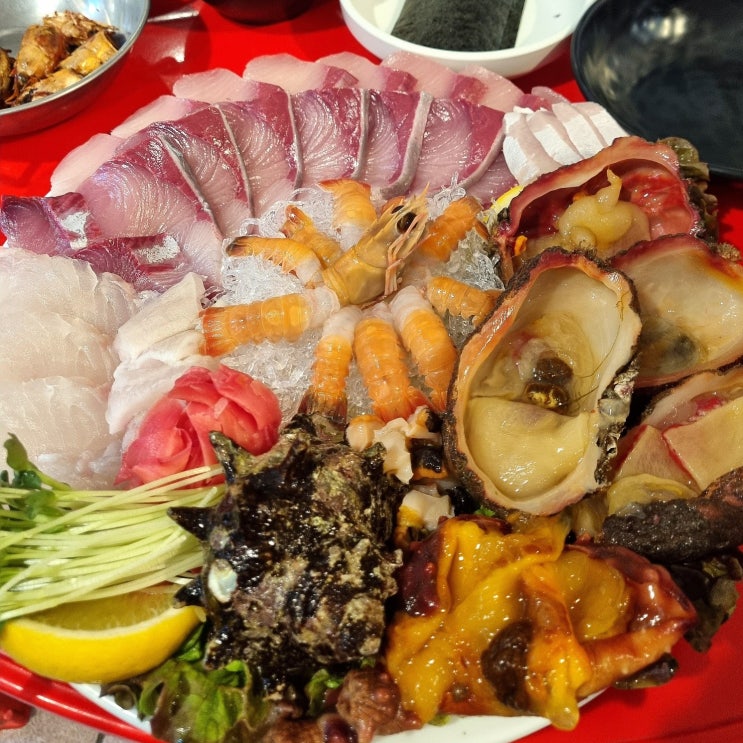  함덕 횟집 백록집 딱새우, 돌멍게 맛집