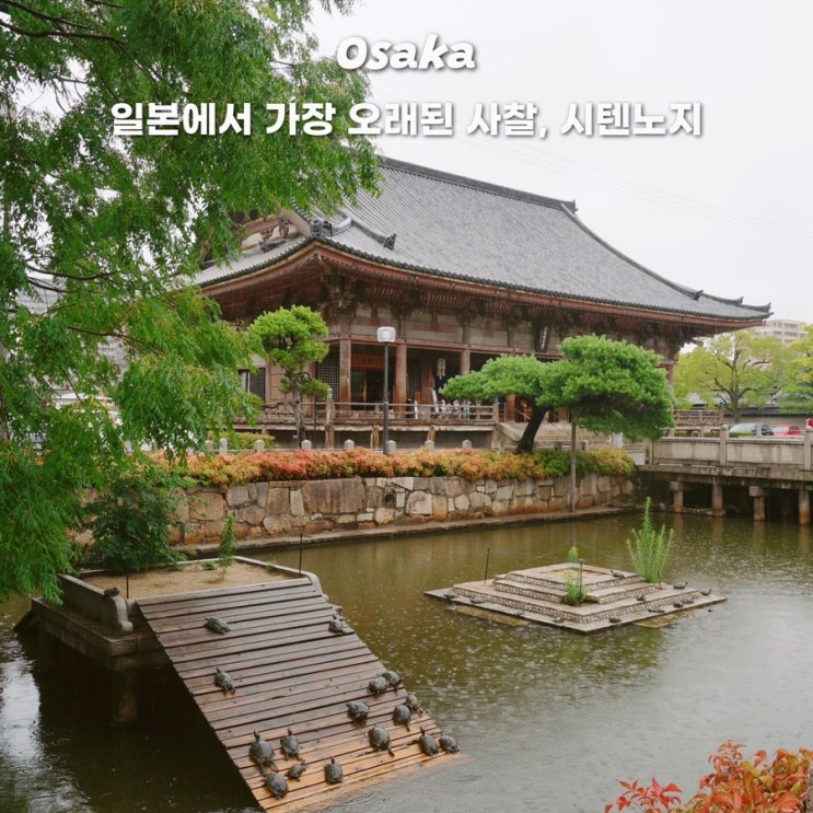  오사카 자유여행 시텐노지 사찰 거북이 연못 입장료