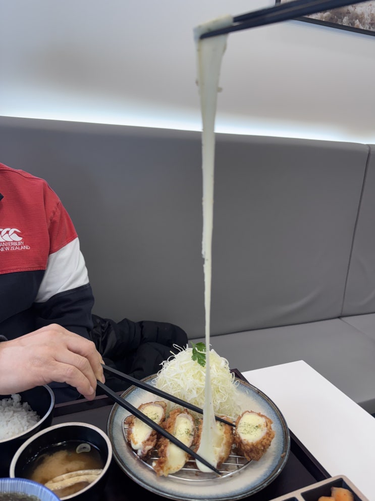  행복한백화점 맛집 목동 돈까스 모모야 점심 식사 후기