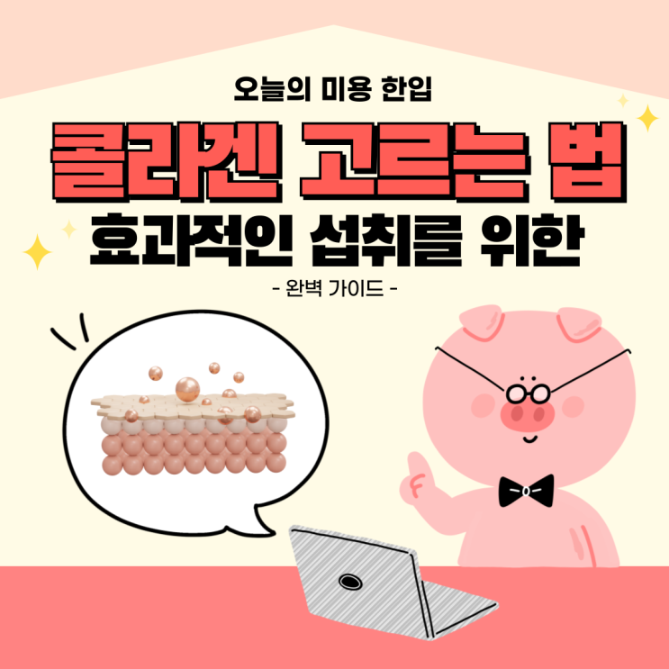  콜라겐 고르는 법 효과적인 섭취를 위한 완벽 가이드