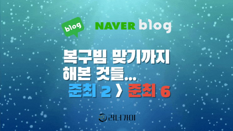  블로그 지수 준최2에서 준최6 등급 복귀까지 해본 것들.