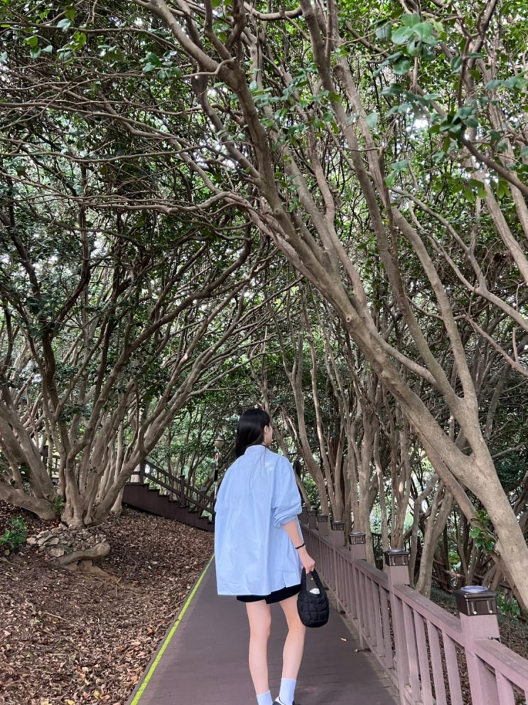  여수 오동도 포토존/해상 케이블카/돌산공원 야경 한 번쯤 가볼 만한 곳(내 사진 위주)