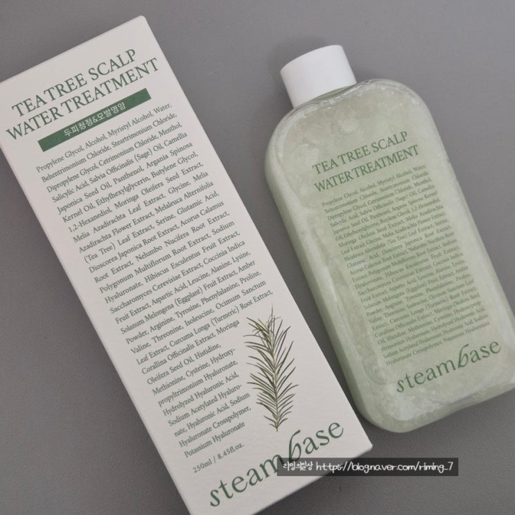  워터 제형 트리트먼트 스팀베이스 티트리 스칼프 워터 트리트먼트