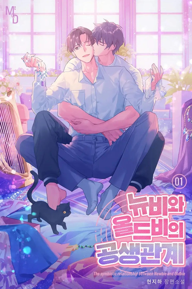 BL소설 리뷰) 현지하-뉴비와 올드비의 공생관계 BL소설 리뷰) 현지하-뉴비와 올드비의 공생관계