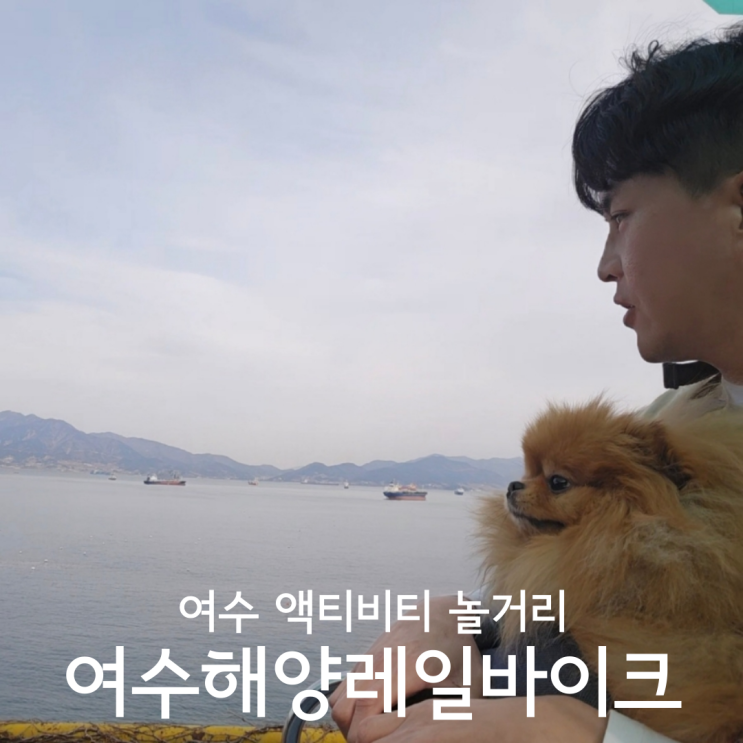  여수여행 액티비티 놀거리 추천 여수해양레일바이크 애견동반 후기