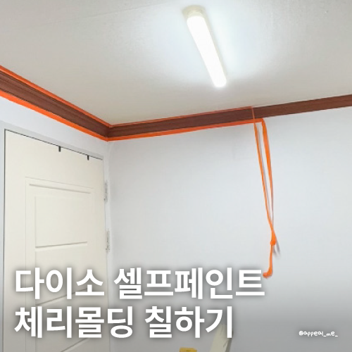 다이소 셀프페인트 체리몰딩 직접 칠해본 후기