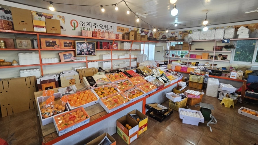 귤사랑 사진 6