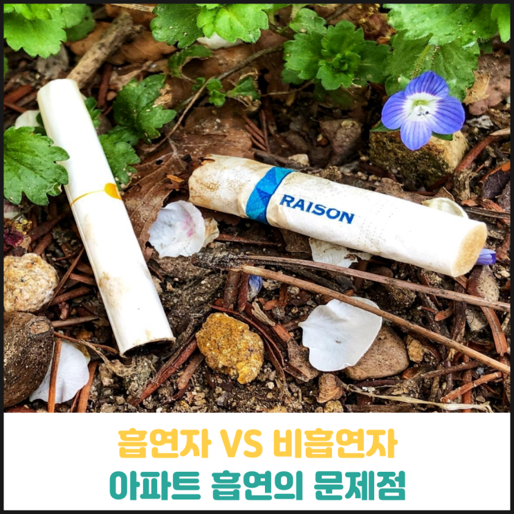 아파트 흡연의 문제점 아파트 흡연의 문제점