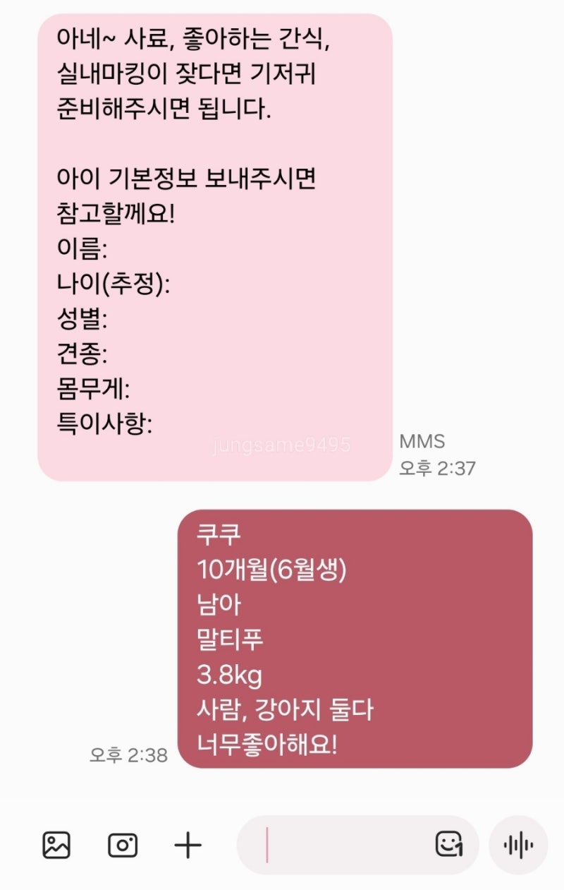 사진 3