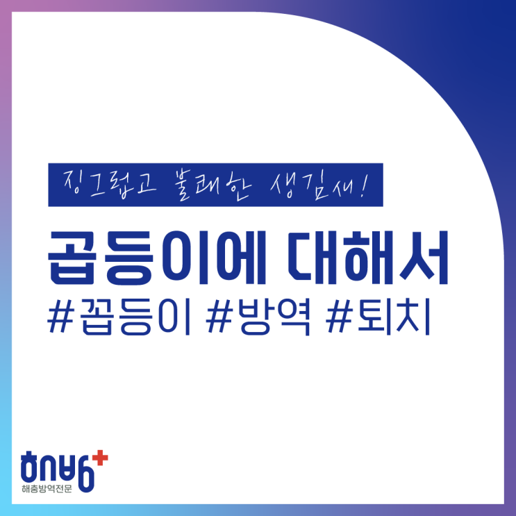  곱등이 꼽등이 어떻게 퇴치하고 방역할까?