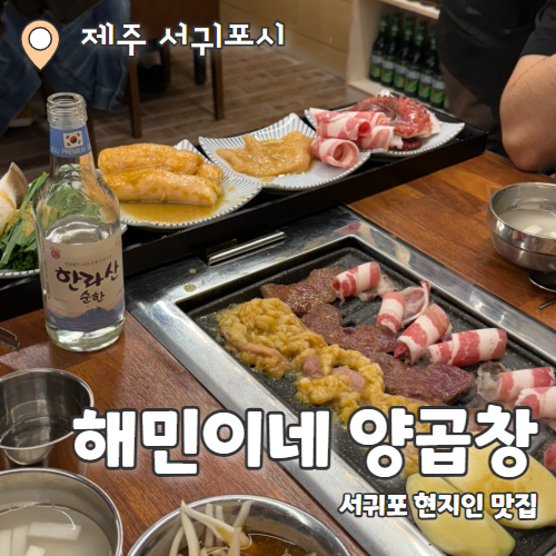  해민이네양곱창 : 제주도에서 돌문어 곱창을 먹을 수 있는 서귀포 현지인 맛집 추천후기