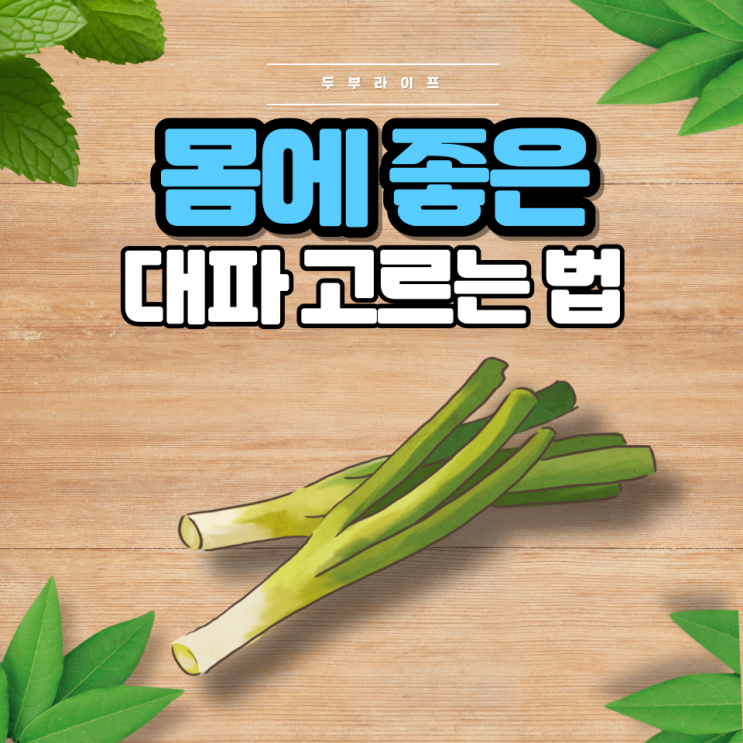  1분만에 몸에 좋은 대파 고르는 법(효능, 성분, 농약, 보관 방법, 계절별 대파)