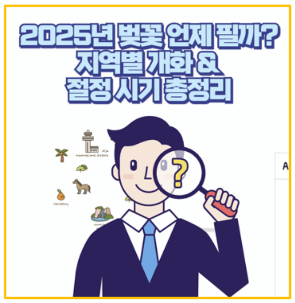  벚꽃 여행 필수 체크 2025년 전국 벚꽃 명소 & 개화 시기