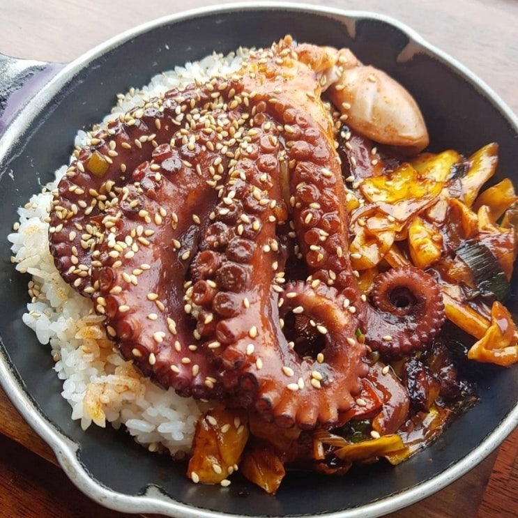  제주 구좌 돌문어 덮밥 맛집 벵디