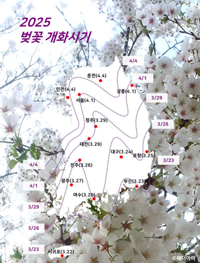  벚꽃, 개나리, 진달래 언제 피어? 2025년 개화 시기 한눈에 보기!