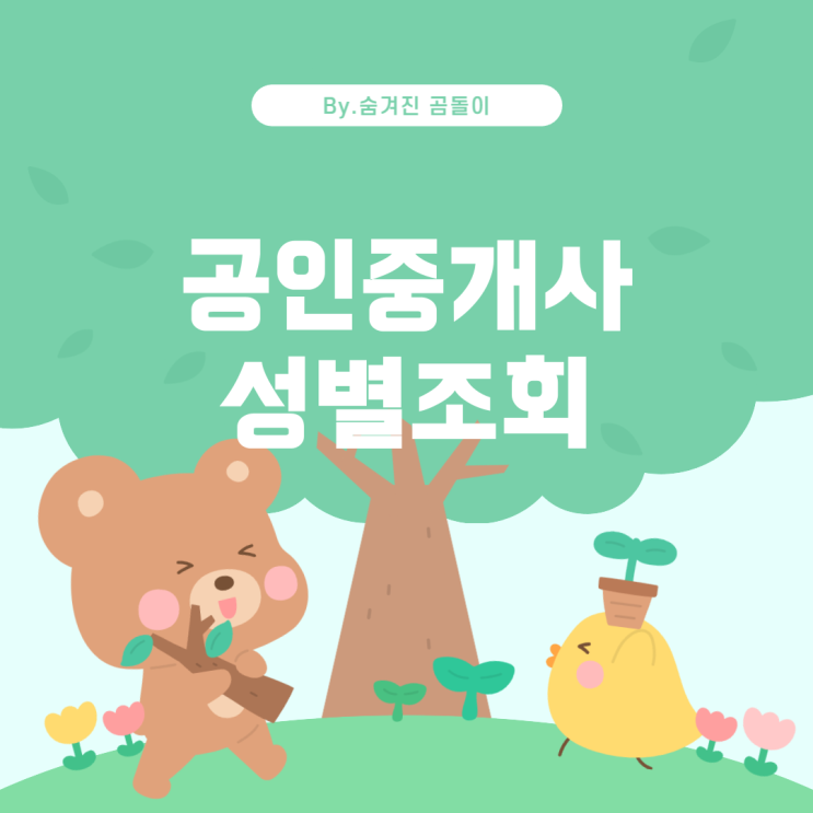  공인중개사 성별 조회 방법 및 법적 의무