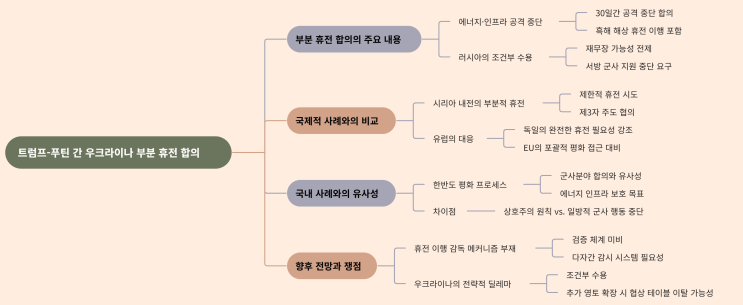 <b>트럼프</b>-<b>푸틴</b>의 우크라이나 부분 휴전 합의: 엇갈린 전망과... 