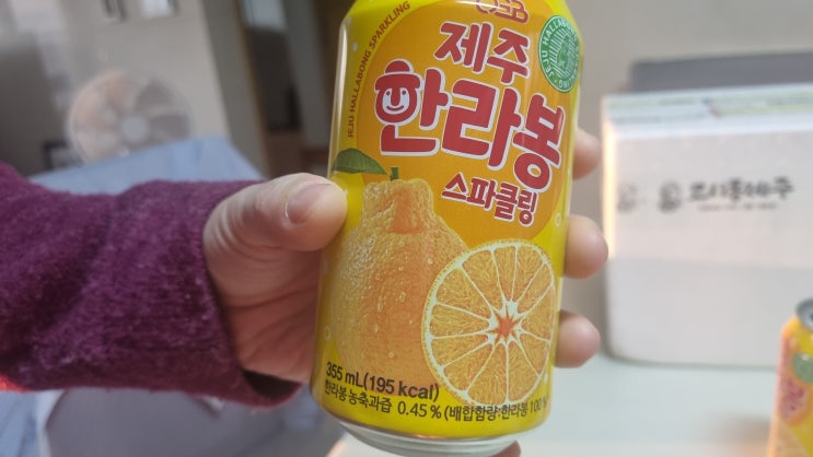 봄철 활력 충전! 제주 한라봉 스파클링 탄산음료 체험 후기: 한라봉의 효능과 상쾌함까지!