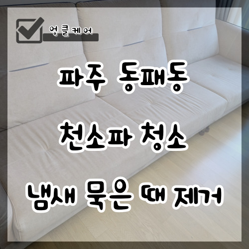  천소파 청소 묵은 때 냄새 제거 파주 동패동