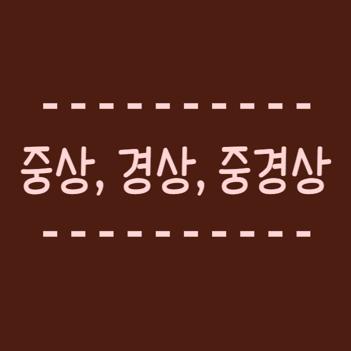  중상 경상 중경상, 뜻, 차이 교통사고 특례법 기준