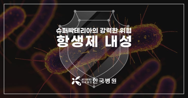  제주 감염병 소식_슈퍼박테리아의 위협···[항생제 내성]에 대해