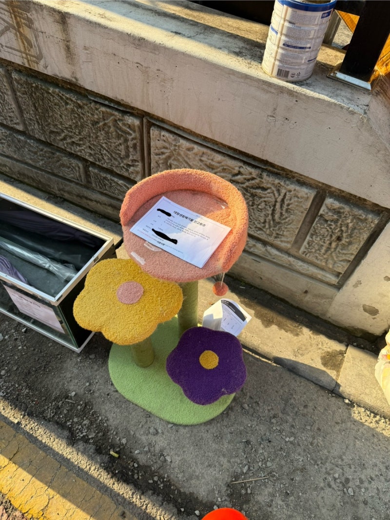 고양이 캣타워 대형 폐기물 신청 버리기 버리는 방법