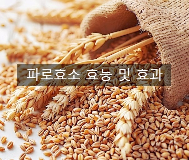 파로효소 효능과 건강에 미치는 영향