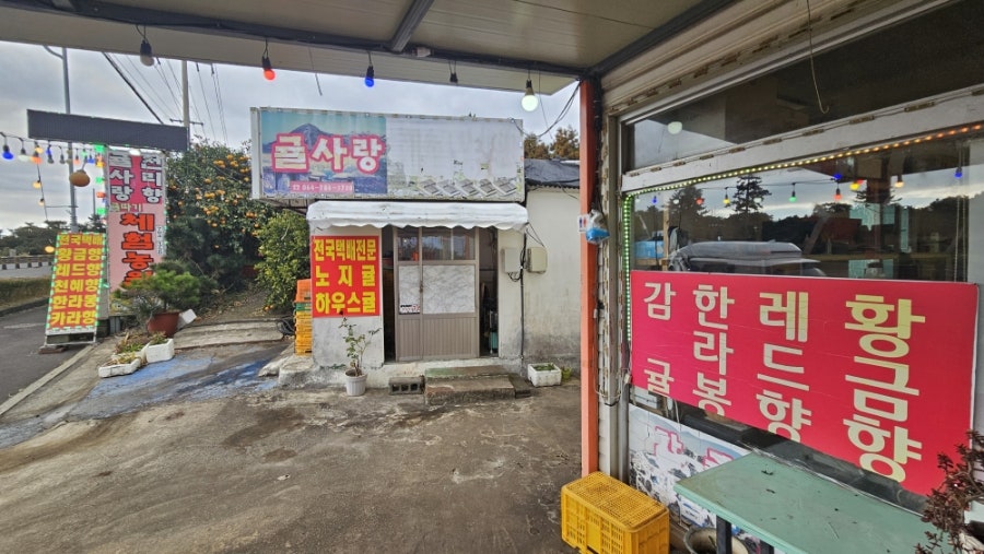 귤사랑 사진 1