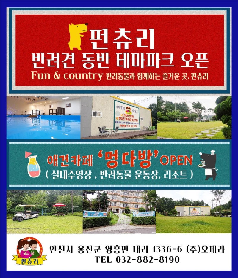 사진 8
