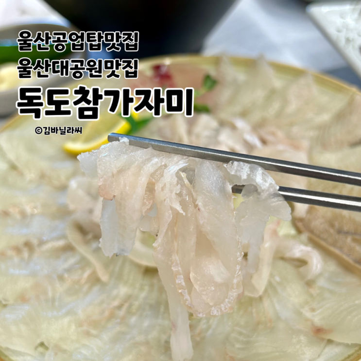  울산 공업탑 맛집 독도참가자미 울산대공원 부모님 칭찬받은 룸식당 밥집