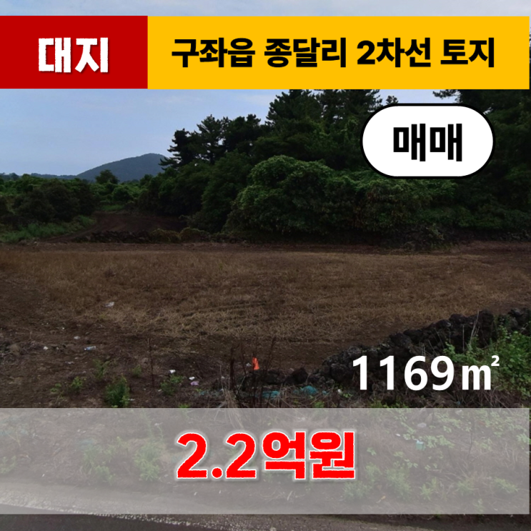  《제주도 토지》 구좌읍 종달리 임야(2차선접) 매매