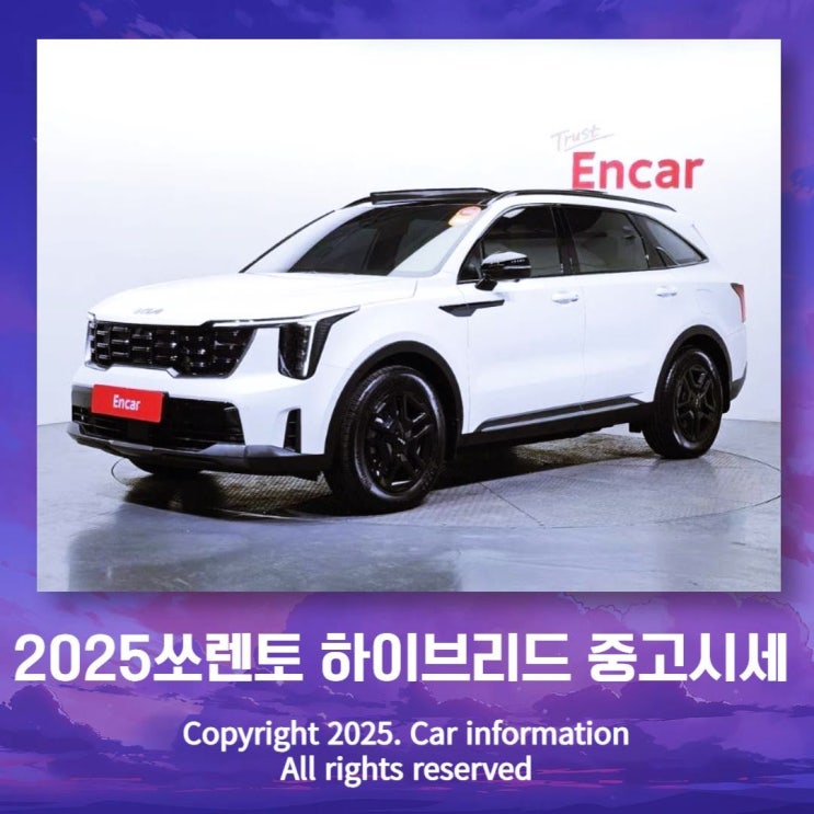  2025 쏘렌토 하이브리드 중고시세