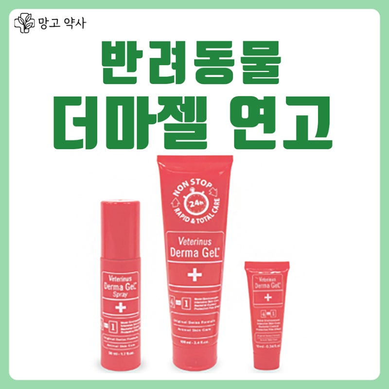 더마젤 연고로 강아지·고양이 반려동물 상처 관리! 필수템