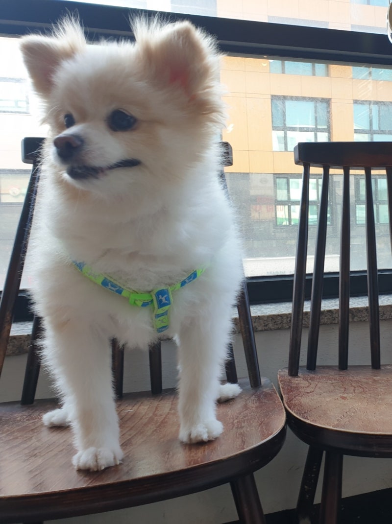 한섬 EQL, image size:800x1070