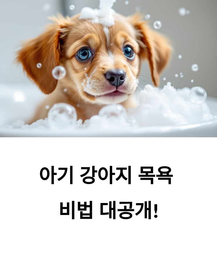  아기 강아지 목욕, 언제부터? 스트레스 없이 뽀송하게 만드는 비법