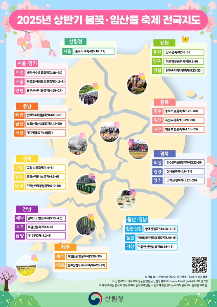  지역별 봄꽃·임산물 축제 정보 (2025년 상반기)