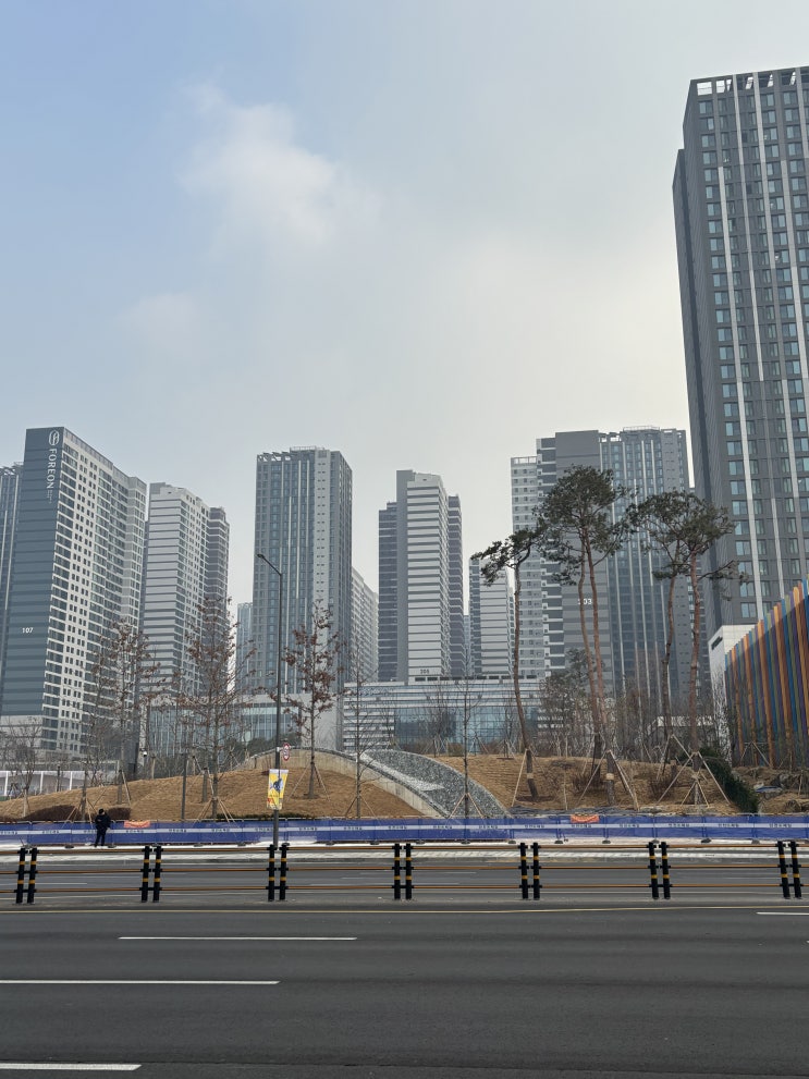  토지거래허가구역 지정 토허제 해제 이후 신고가 속출 : 앞으로 부동산 시장 전망은?
