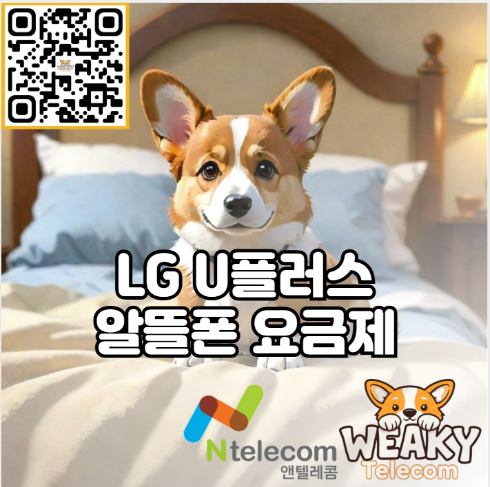  LGU플러스 알뜰폰 요금제로 휴대폰을 개통하고 싶다면?