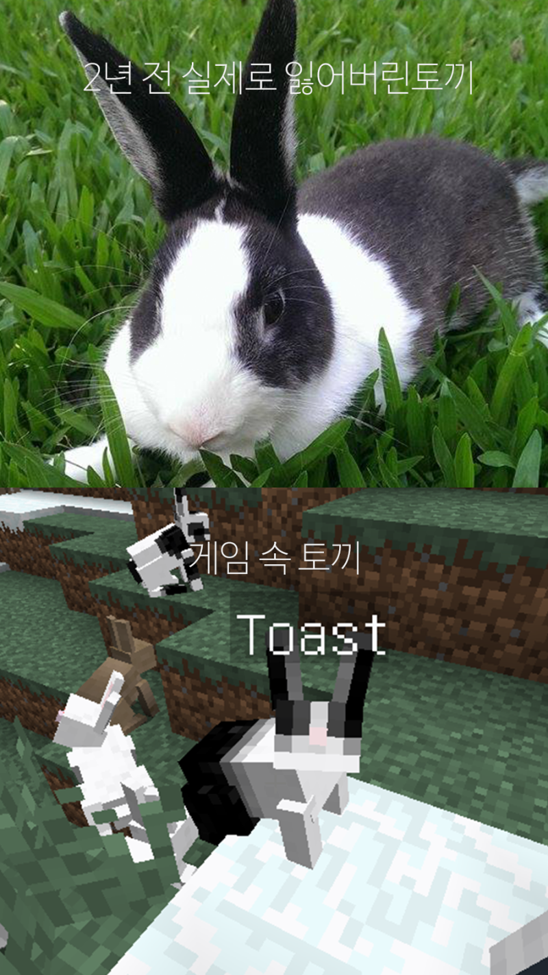 마인크래프트 토끼에게 숨겨진 사실들 : 네이버 블로그, image size:800x1422